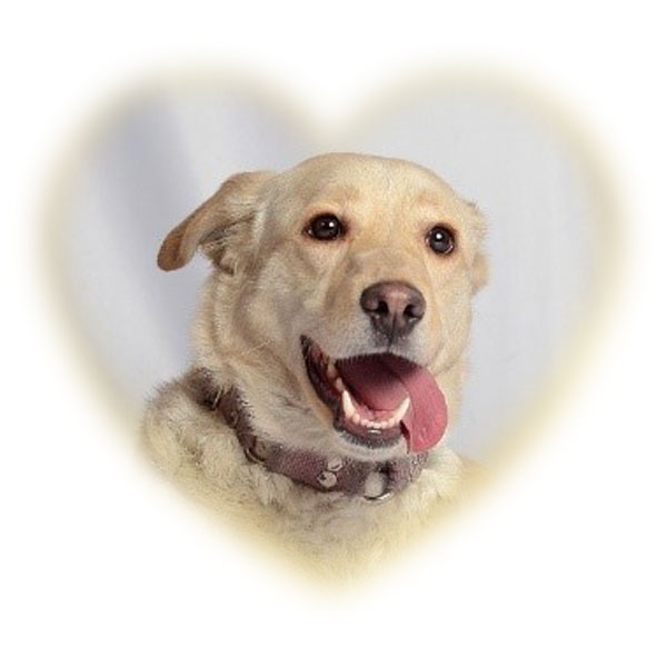 charming_coeur