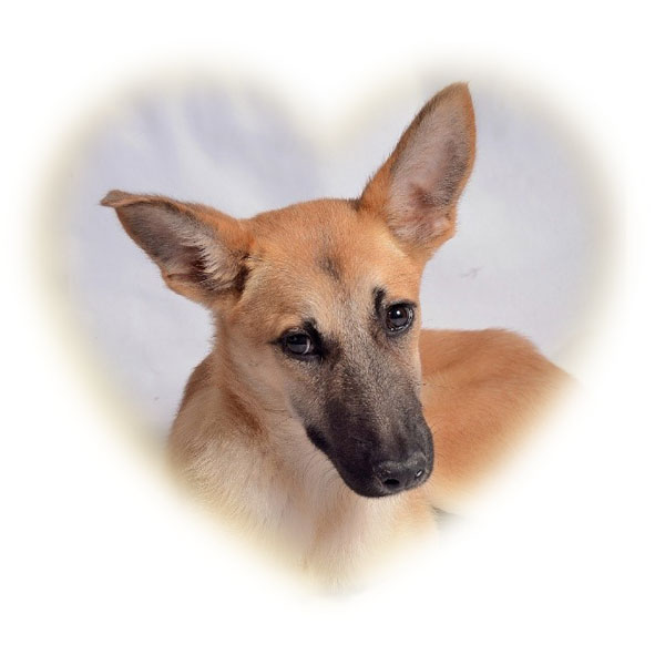 frida_coeur