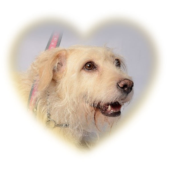 nala_coeur